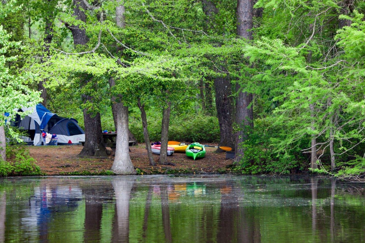 Island campsite at Trap Pond State Park